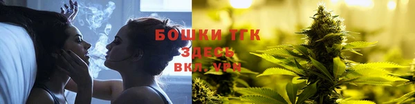 ГАЛЛЮЦИНОГЕННЫЕ ГРИБЫ Верея